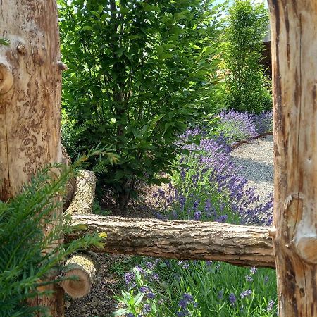 Le Jardin Des Fagnes Villa Robertville Exteriör bild